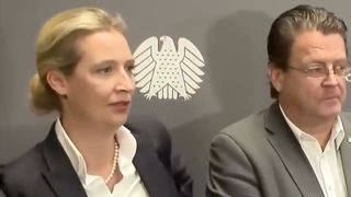 Eilmeldung  Dmmster RR Moderator  Weidel & Brandner decken Unfassbares auf!  #lgenpress