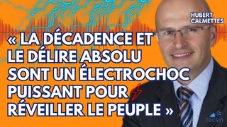 La stratgie du choc  suivre pour rveiller les Franais de leur torpeur - Huber Calmettes