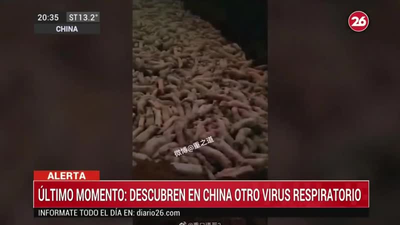 Noticia de la nueva posible