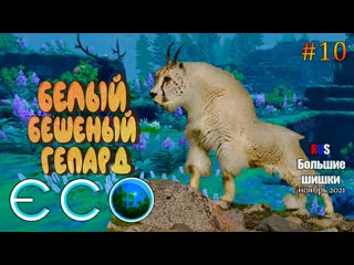 БЕЛЫЙ БЕШЕНЫЙ ГЕПАРД - ECO #10