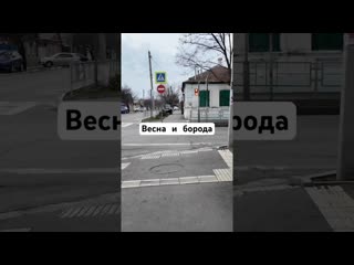 Весна, гормоны и чёрная борода: как я стал пиратом Карибского моря   #прикол